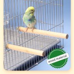 Automatic Bird Feeder Supplier - Factory Low Price Spillproof Bottle Feeder