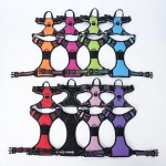 Pet Cooling Clothes Supplier - Wholesale Summer Sunscreen Designer Dog Clothes