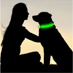 LED Dog Collar Manufacturer - Electronic Adjustable Flash Rechargeable Reflective