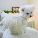 Pet Wedding Dress Factory - Manufacturer Custom Blue Bowknot Autumn Winter