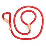 Slip Dog Leash Factory - Hot Selling Nylon Snap Hook Rope for Training