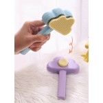 Two-Sided Pet Brush Manufacturer - Hot Selling Cheap Red Hair Removal Brush