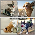 Dog Shirt Factory - Wholesale Biggest Button up Hawaii T Shirt Spring Summer