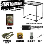 Acrylic Display Case Supplier - Custom Tall Magnetic for Arboreal Tarantula