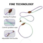 Adjustable Dog Leash Supplier - Colorful Comfortable P Chain Rope Durable