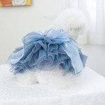 Dog Dress Supplier - New Arrival Wholesale Luxury Skirt Spring Summer