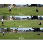 Long Dog Leash Manufacturer - Obedience Recall Training Lead 15-100ft Strap