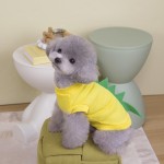 Pet Memorial Urn Manufacturer - Wood Cremation Casket Photo Funeral Supplies