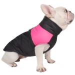 Bird Diaper Manufacturer - Wholesale Cartoon Parrot Washable Diaper Clothes