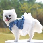 Pet Jumper Factory - Hot Selling Colorful Winter Dresses Warm Pullover