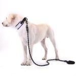 Dog Training Leash Factory - Comfortable Padded Handle Highly Reflective