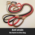Slip Dog Leash Factory - Hot Selling Nylon Snap Hook Rope for Training