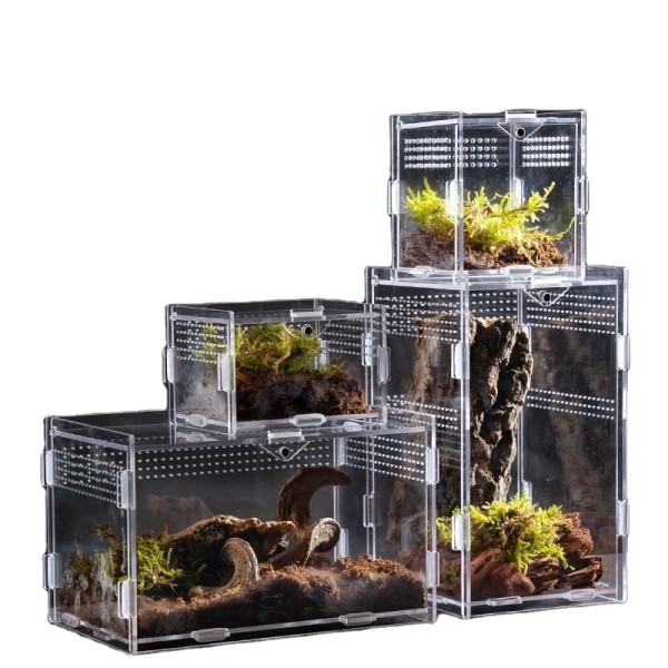 Acrylic Reptile Cage Factory - High Quality Magnetic Landscaping Assembly Type