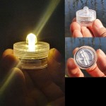 Reptile Glass Tank Manufacturer - Ecological Landscape Horned Frog Spider Guarding