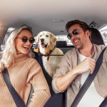 Car Seat Extender Supplier - Hard Bottom Back Seat Pet Cover Hammock SUV