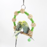 Wood Parrot Toys Supplier - Manufacturer Wholesale Fruit Custom Colorful