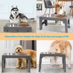 Elevated Dog Bowl Manufacturer - New Design Customizable Adjustable Heights