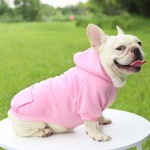 Dog Princess Dress Manufacturer - 2025 New Arrival Graceful Spring Summer