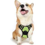 Pet Cooling Clothes Supplier - Wholesale Summer Sunscreen Designer Dog Clothes