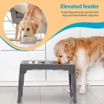 Elevated Dog Bowl Manufacturer - New Design Customizable Adjustable Heights