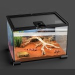 Acrylic Display Case Supplier - Custom Tall Magnetic for Arboreal Tarantula