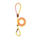 Adjustable Dog Leash Supplier - Colorful Comfortable P Chain Rope Durable