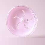 Rodent Running Wheel Supplier - New Arrival with Bracket Silent Non-slip