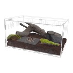 Reptile Feeder Bowl Supplier - Accessories Resin Food Water Feeder Bowl