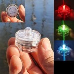 Reptile Glass Tank Manufacturer - Ecological Landscape Horned Frog Spider Guarding