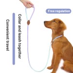 Adjustable Dog Leash Supplier - Colorful Comfortable P Chain Rope Durable