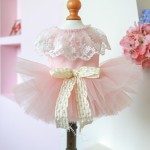 Pet Tutu Dress Manufacturer - Elegant Lace Party Shinny Starlight Wedding