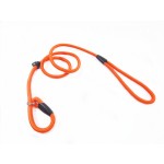 Training Pet Lead Factory - High Quality Custom Nylon Slip Long P Chain