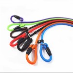 Training Pet Lead Factory - High Quality Custom Nylon Slip Long P Chain