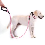 Dog Training Leash Factory - Comfortable Padded Handle Highly Reflective