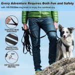 Long Dog Leash Manufacturer - Obedience Recall Training Lead 15-100ft Strap