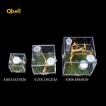 Reptile Glass Tank Manufacturer - Ecological Landscape Horned Frog Spider Guarding