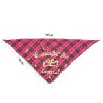 Dog Party Set Manufacturer - Birthday Triangle Scarf Hat Bowtie Banner Supplies