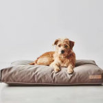 Customizable Pet Bed Manufacturer - Four-Season Orthopedic Crate Memory Foam
