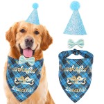 Dog Party Set Manufacturer - Birthday Triangle Scarf Hat Bowtie Banner Supplies