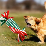 Candy Dog Toy Supplier - Shaped Interactive Bell Bite-Resistant Play Toy