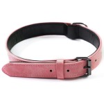 Dog Collar Set Supplier - Metal Leather Personalized Picture Letter Rose Red