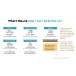 Army Green Dog Car Seat Bed Supplier - Travel Carrier Print Pattern Pet Bed