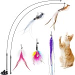 Cat Interactive Toys Manufacturer - 2023 New Fashion Comfortable Training Tool