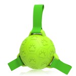 Outdoor Dog Ball Factory - Luxury Durable Rubber Football Soccer Inflated