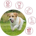 Dog Tug Toy Manufacturer - Durable Cotton Tether Tug-of-War Aggressive Chewers