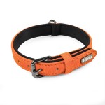 Leather Dog Collar Manufacturer - Soft Padded Adjustable Metal Buckle Collar