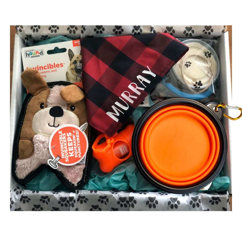 Pet Gift Set Factory - Customized Gift Box Bandana Portable Bowl Poop Bag