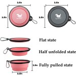 Portable Water Bowl Factory - Foldable Feeding Dish for Traveling Camping