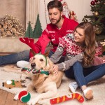 Christmas Dog Toy Factory - Squeaky Hide Seek Training Ball Gift Series