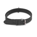 Dog Collar Set Supplier - Metal Leather Personalized Picture Letter Rose Red